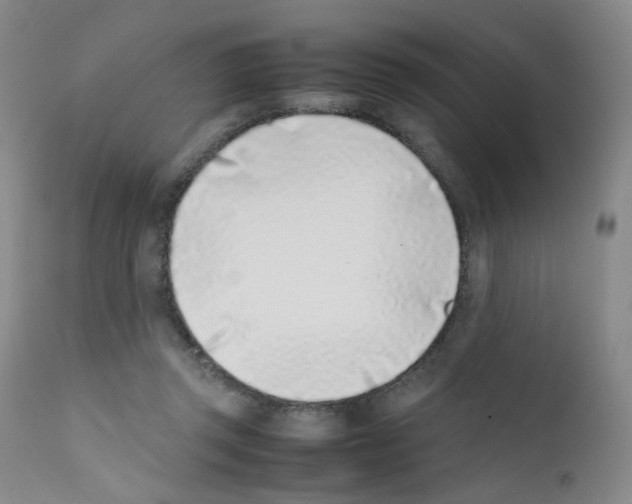 X0000111780357200909031138
