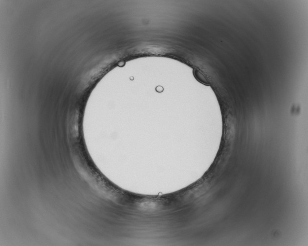 X0000111780358200909031138