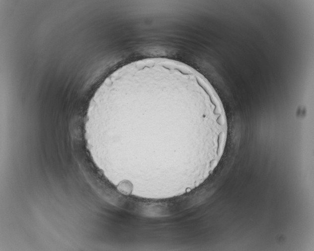 X0000111780359200909031138