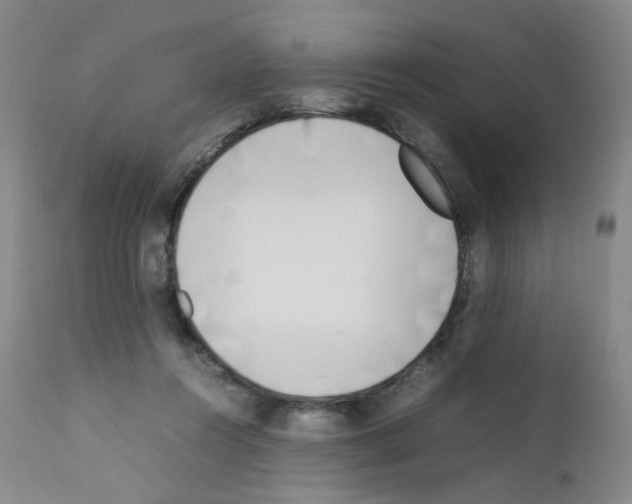 X0000111780360200909031138