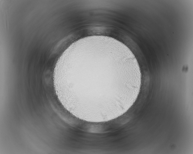 X0000111780361200909031138