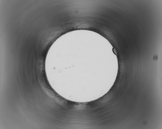 X0000111780362200909031138