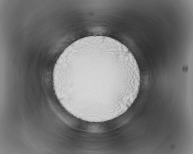 X0000111780365200909031138