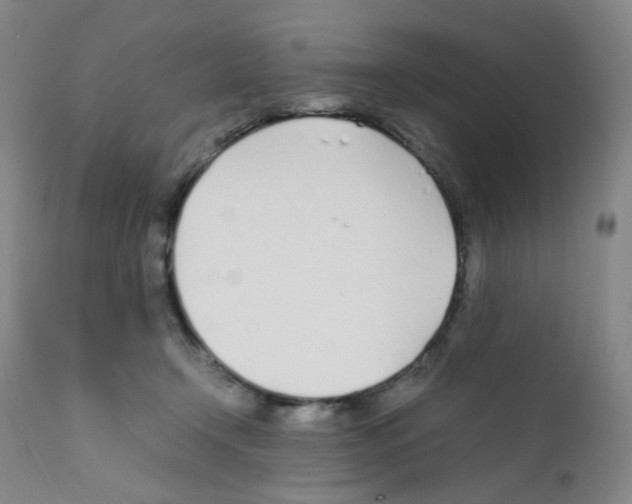X0000111780366200909031139