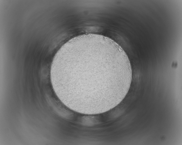 X0000111780367200909031139