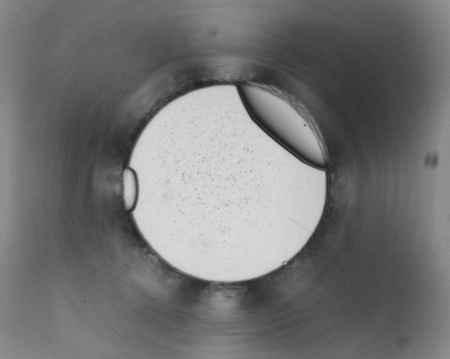 X0000111780368200909031139