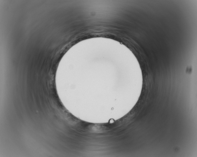 X0000111780372200909031139