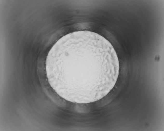 X0000111780373200909031139