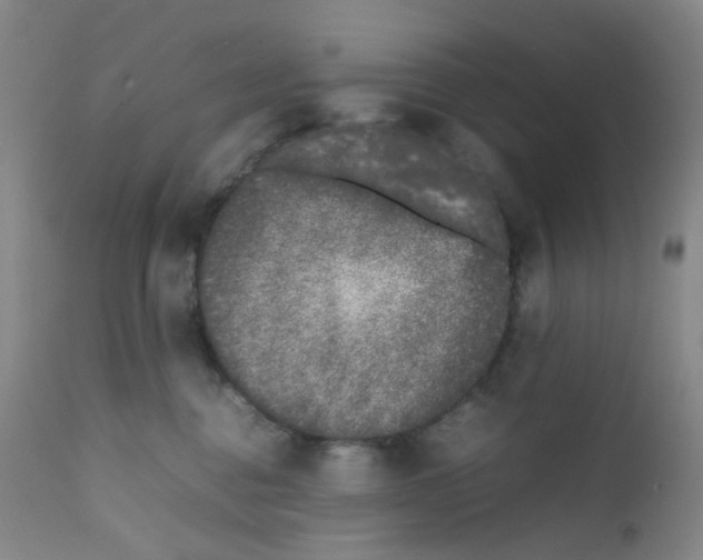 X0000111780376200909031139