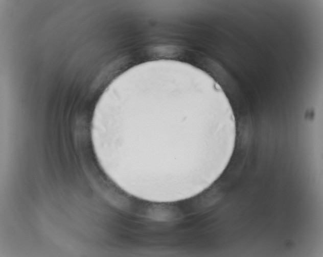 X0000111780377200909031139