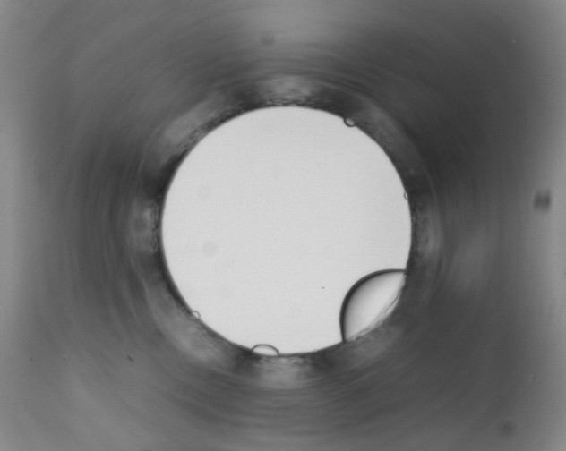 X0000111780378200909031139