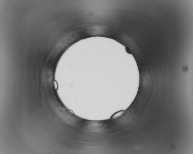 X0000111780380200909031139