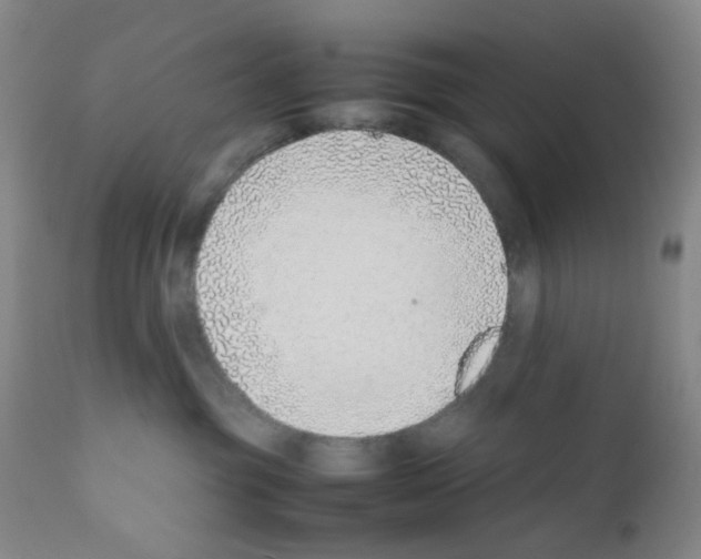 X0000111780381200909031139
