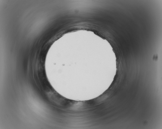 X0000111780382200909031139