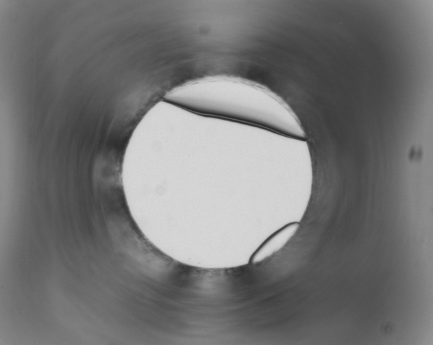 X0000111780384200909031139