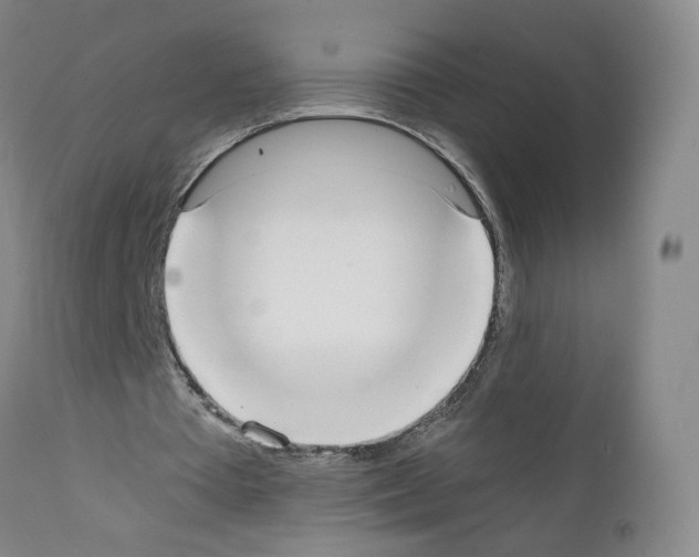 X0000111780385200909031138