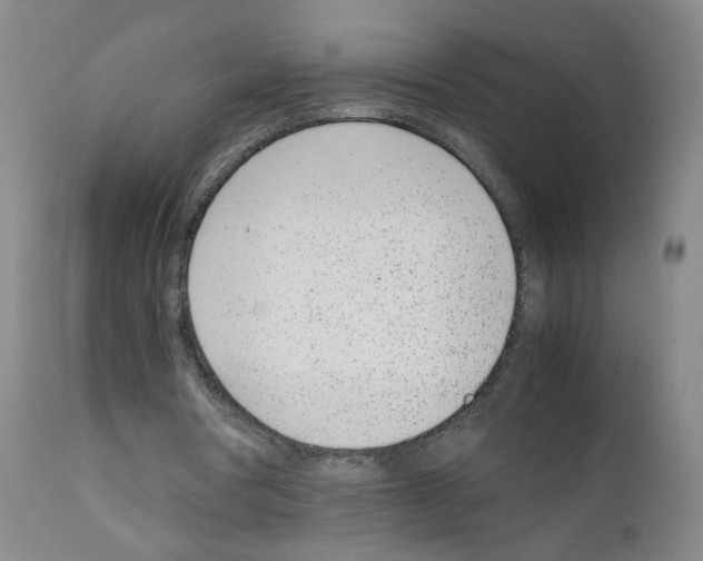 X0000111780386200909031138