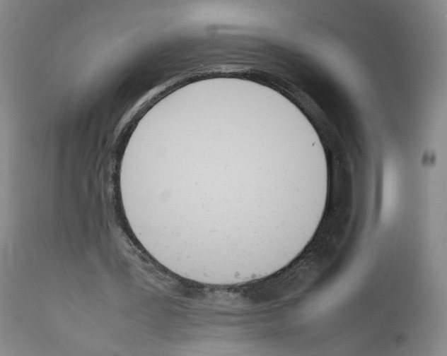 X0000111780387200909031138