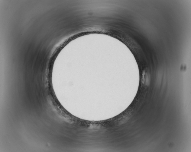 X0000111780388200909031138
