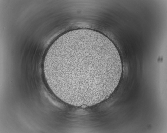 X0000111780390200909031138