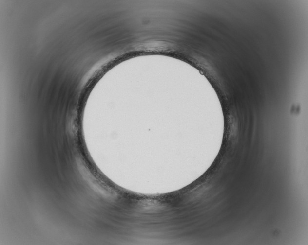 X0000111780392200909031138