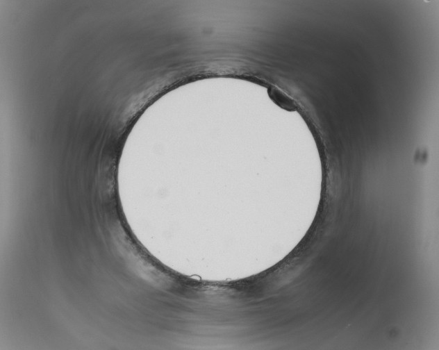 X0000111780393200909031138