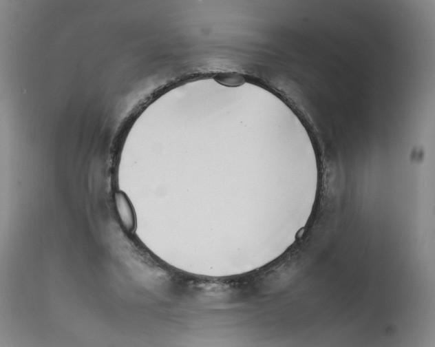 X0000111780395200909031138