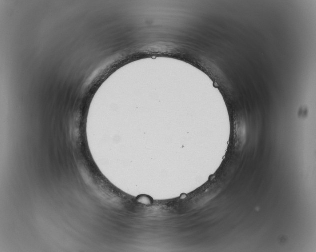X0000111780396200909031138