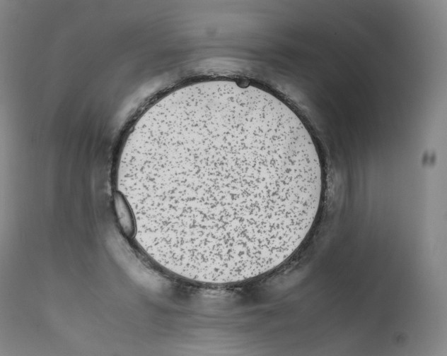 X0000111780399200909031138
