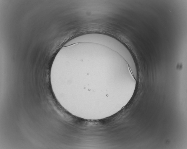 X0000111780401200909031138