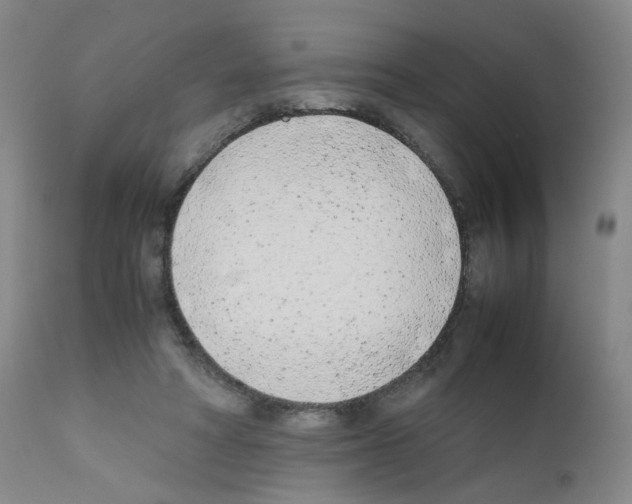 X0000111780402200909031138