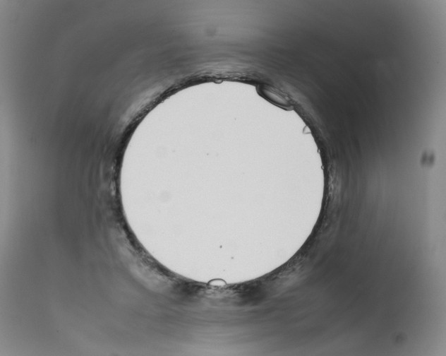 X0000111780403200909031138