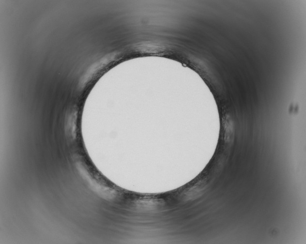 X0000111780404200909031138