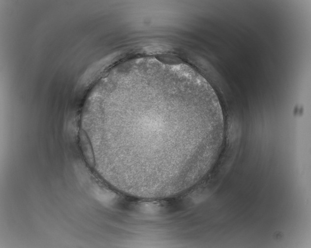 X0000111780405200909031138