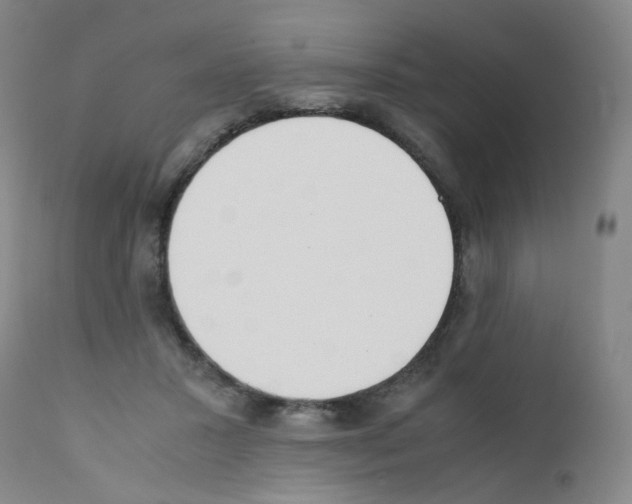 X0000111780407200909031138