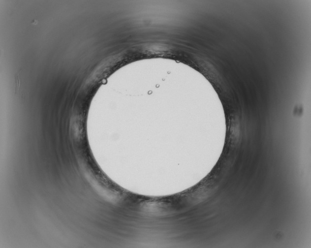 X0000111780408200909031138