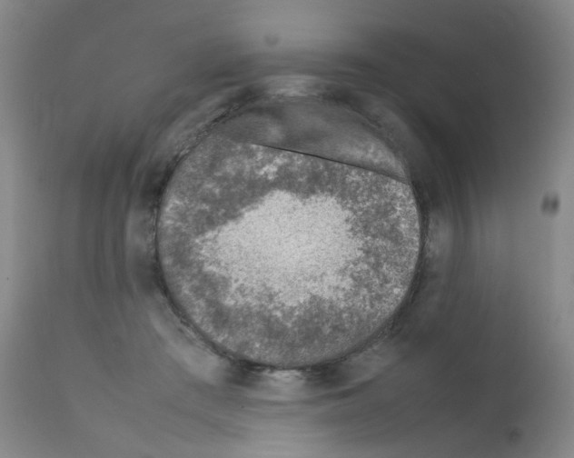 X0000111780409200909031138