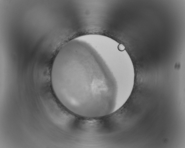 X0000111780411200909031138