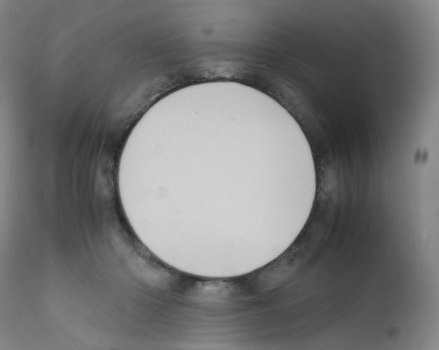 X0000111780414200909031138