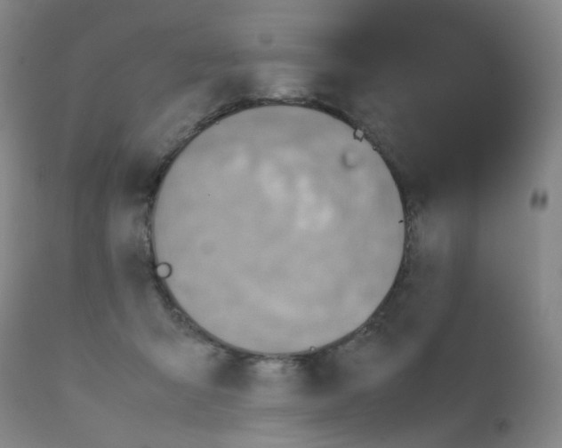 X0000111780415200909031138