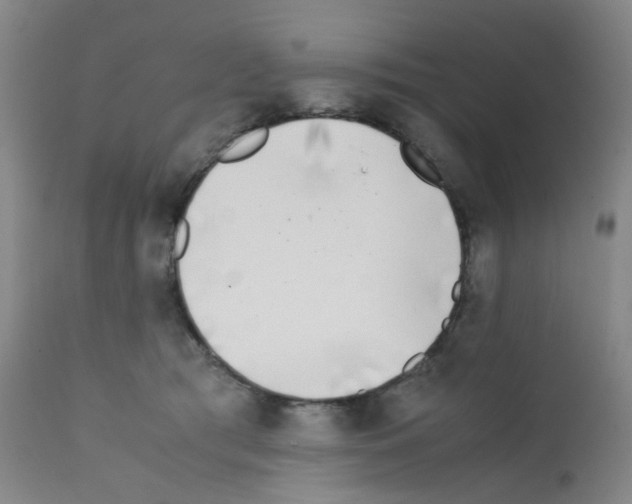 X0000111780417200909031138