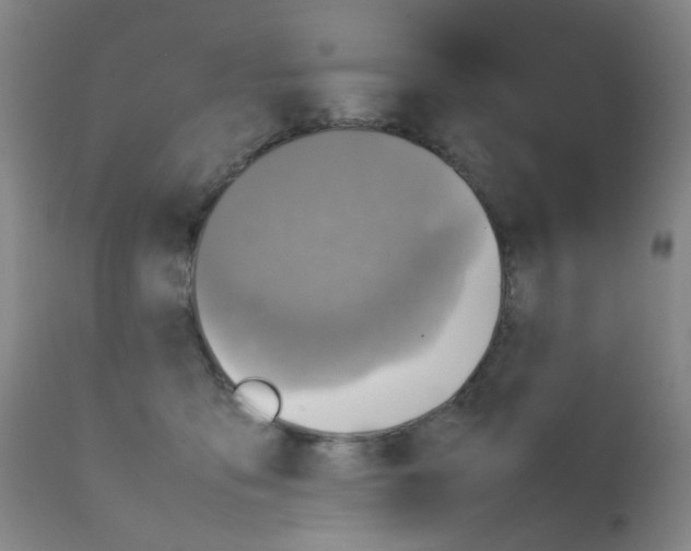 X0000111780419200909031138
