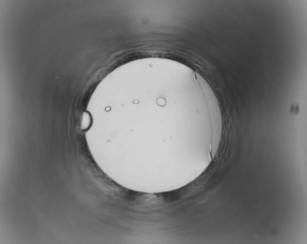 X0000111780421200909031138