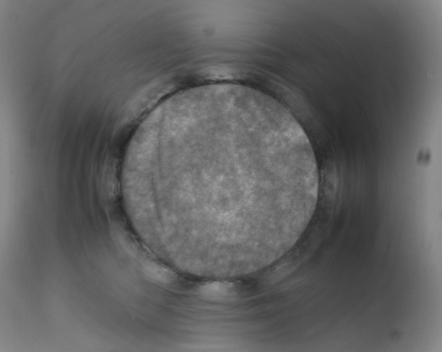 X0000111780422200909031138