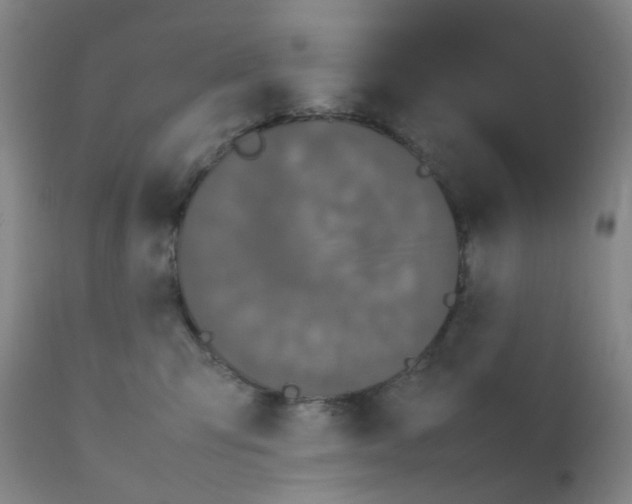 X0000111780423200909031138