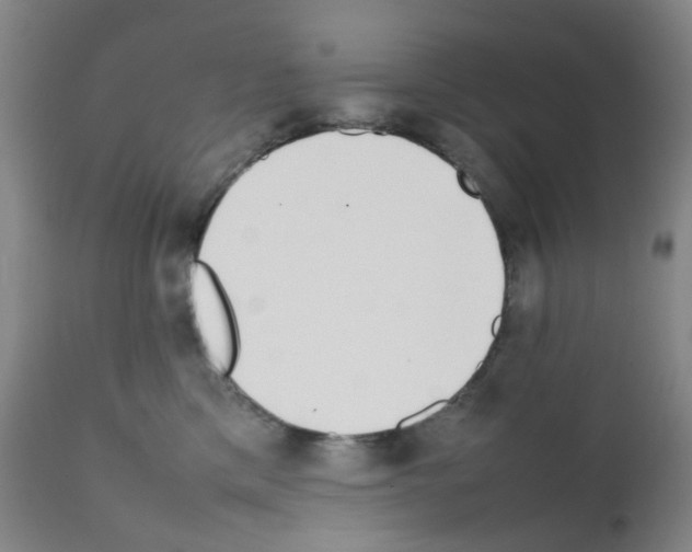 X0000111780425200909031138