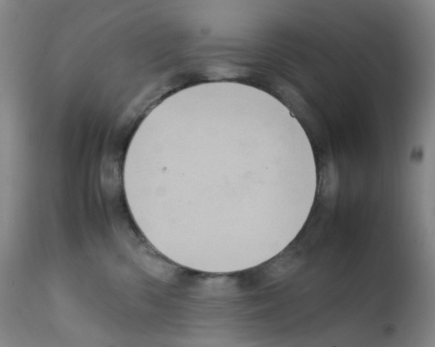 X0000111780426200909031138