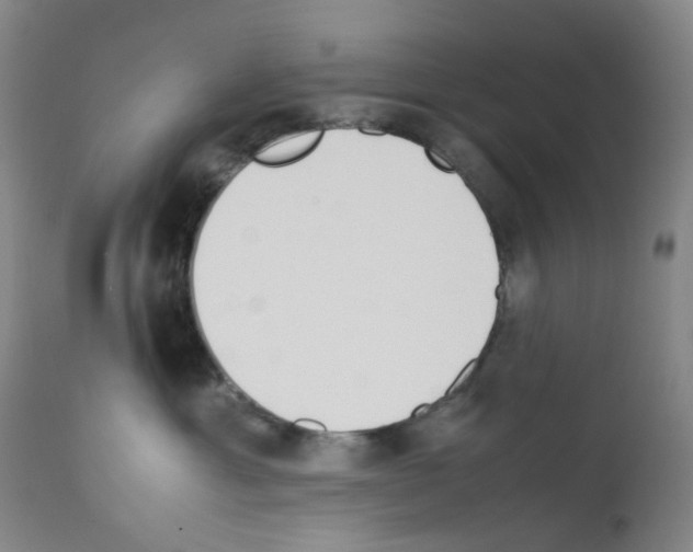 X0000111780429200909031137