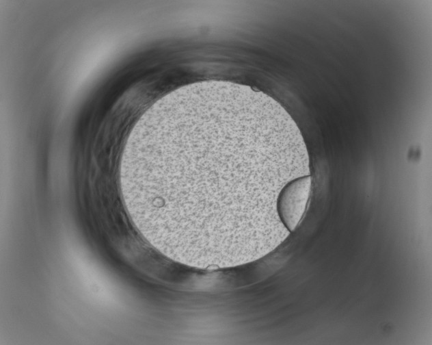 X0000111780430200909031137
