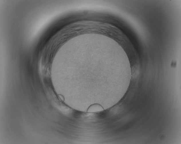 X0000111780431200909031137